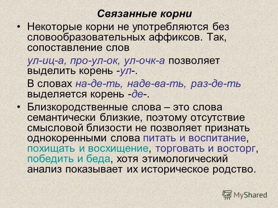 Некоторыми корень слова