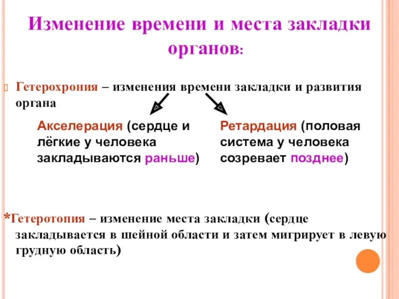 Поправками называют. Изменение времени закладки органа. Гетерохрония и гетеротопия. Изменение места закладки органа называется. Закладка органов.