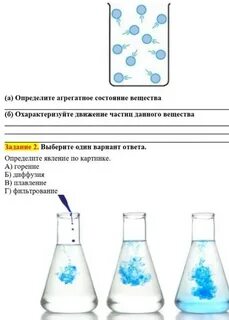 Выявить явление