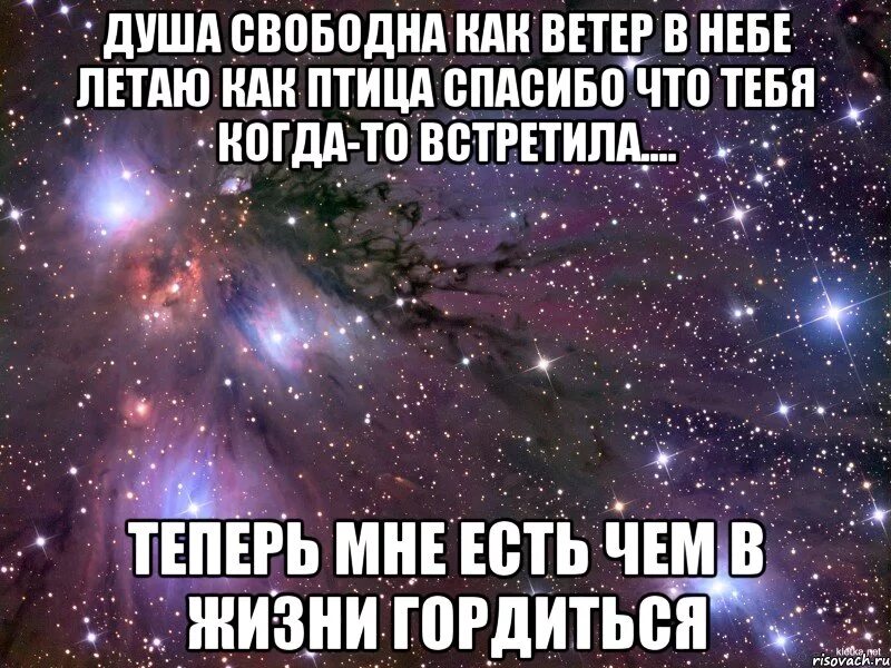 Душа свободна как ветер в небе летаю как птица. Свободна как птица статус. Свободна как. Спасибо что я встретила тебя. Песня душа свободна как ветер