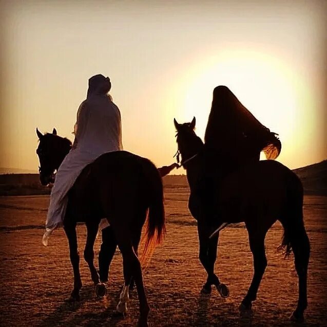 Мусульманские лошади. Мусульманка на лошади. Мусульманка на коне. Исламские пары на лошадях. Мусульманка и лошадь л.