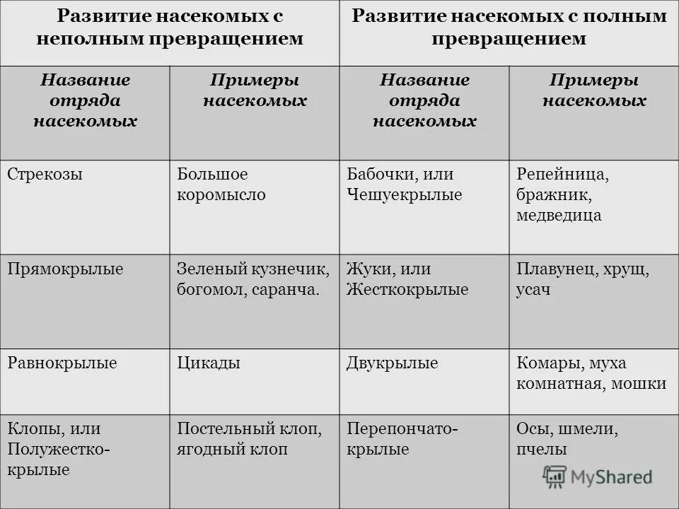 С полным и неполным превращением таблица. Отряды насекомых с полным и неполным превращением. Тип развития насекомых с полным и неполным превращением. С полным превращением 2) с неполным превращением.