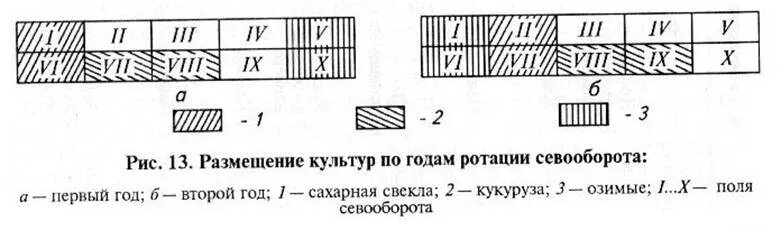 характеристика риса. рис условия возделывания. надпись крупы зерновые культуры. схема уборки культур по полям севооборотов в разрезе репродукции. основные районы возделывания риса.