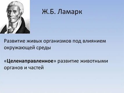Трансформизм это