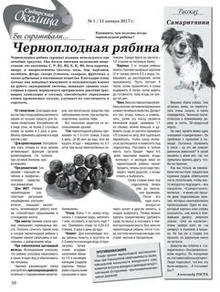 Рябина черноплодная польза для организма человека