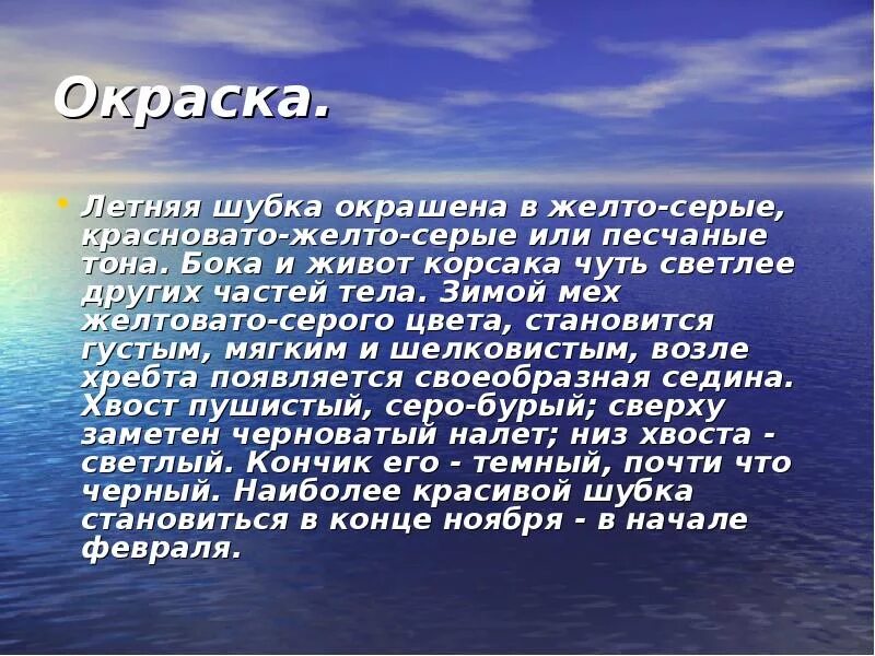 Корсак сообщение 4 класс окружающий мир. Корсак доклад. корсак презентация 4 класс. сообщение о корсаке. корсак сообщение 4 класс.