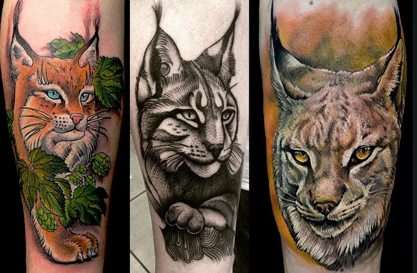 Тату рысь для девушек. Тату на лопатке рысь. Татуировки с рысью для девушек. Тату рысь на руке для девушек. Тату рысь.