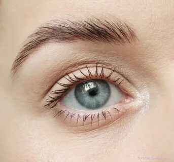 Darling lash cocoon