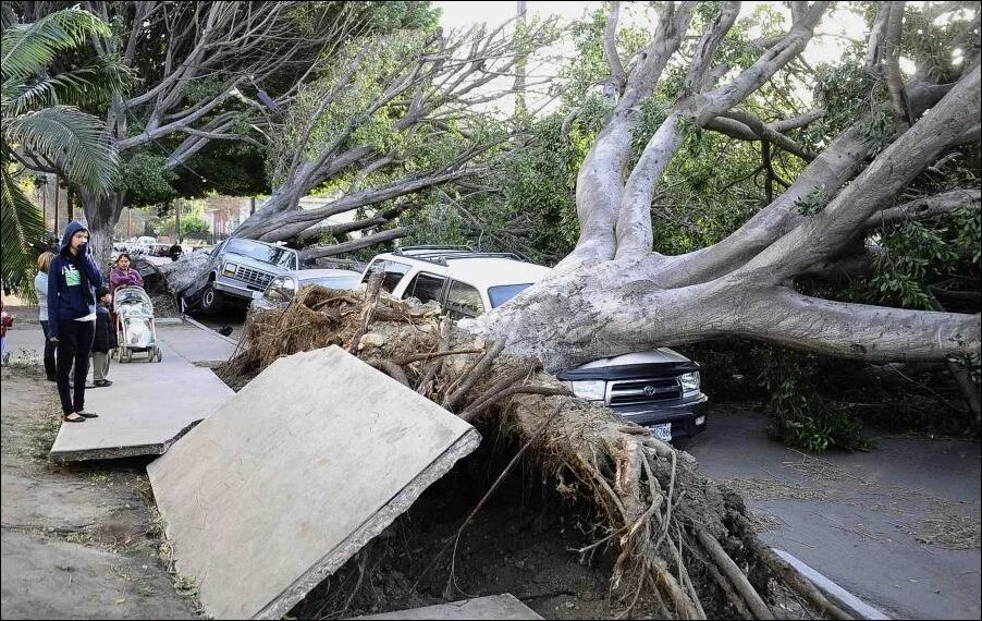 Разрушительный ветер 32 м с. Ураган в Лос Анджелес. Шторм в Лос Анджелесе. Лос Анджелес смерч. Последствия сильного ветра.