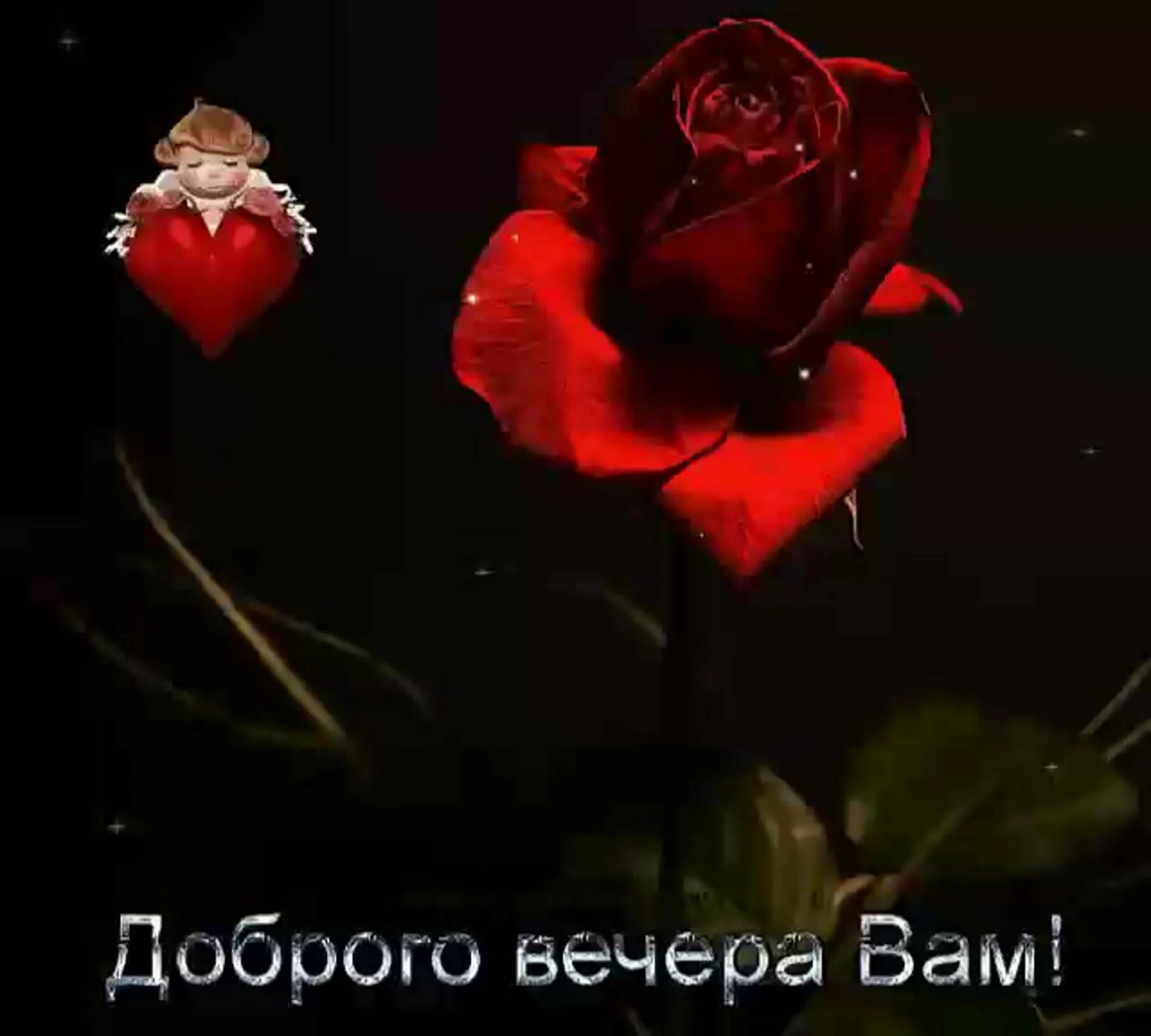 Добрый вечер сердце. Спокойной ночи цветы. Доброй ночи цветы. Доброй ночи с розами. Спокойной ночи красные розы.