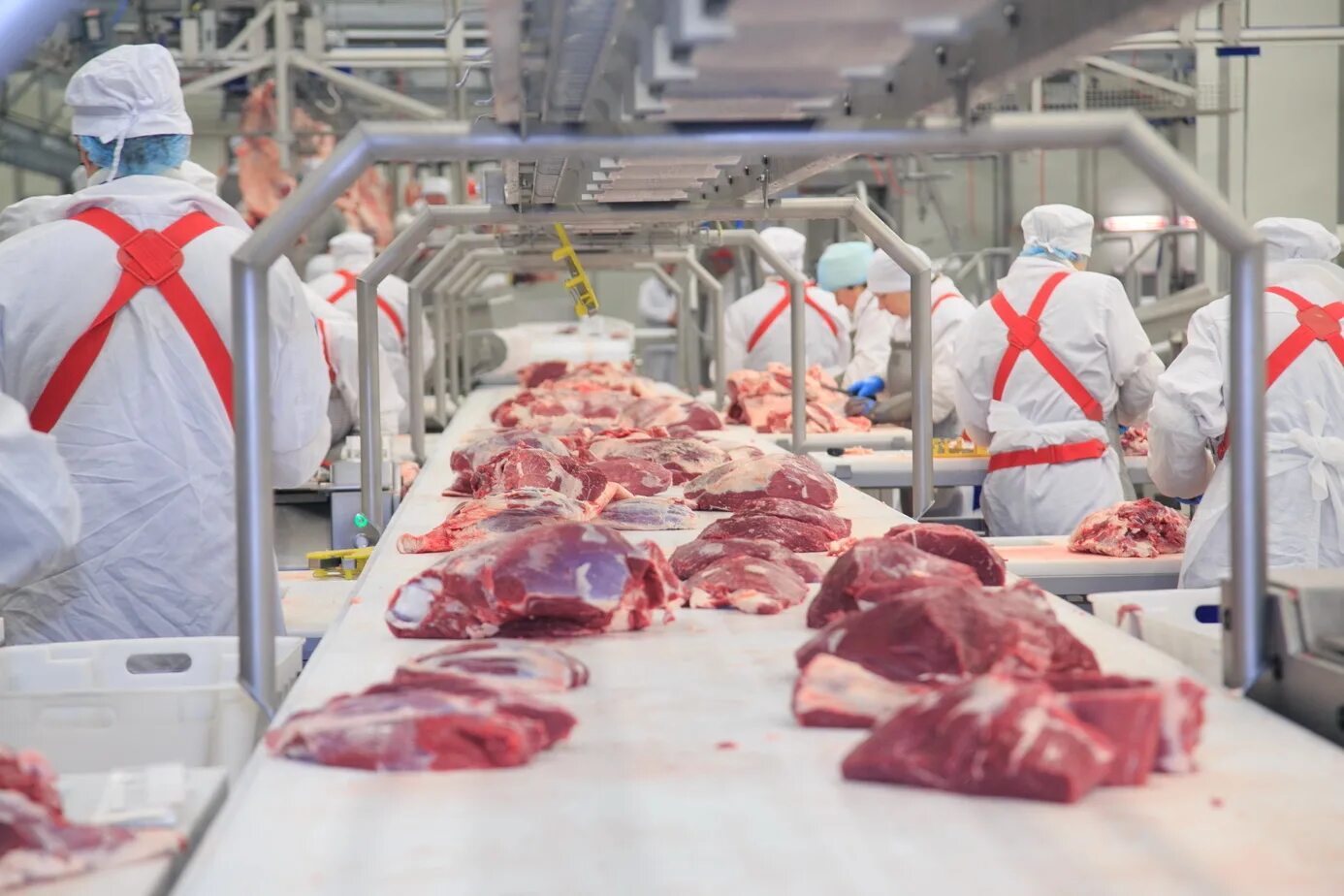 Тамбовский мясокомбинат. Мясная промышленность. Мясоперерабатывающий цех. Предприятия мясной промышленности.