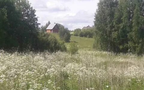 Погода в вороново рязанская область
