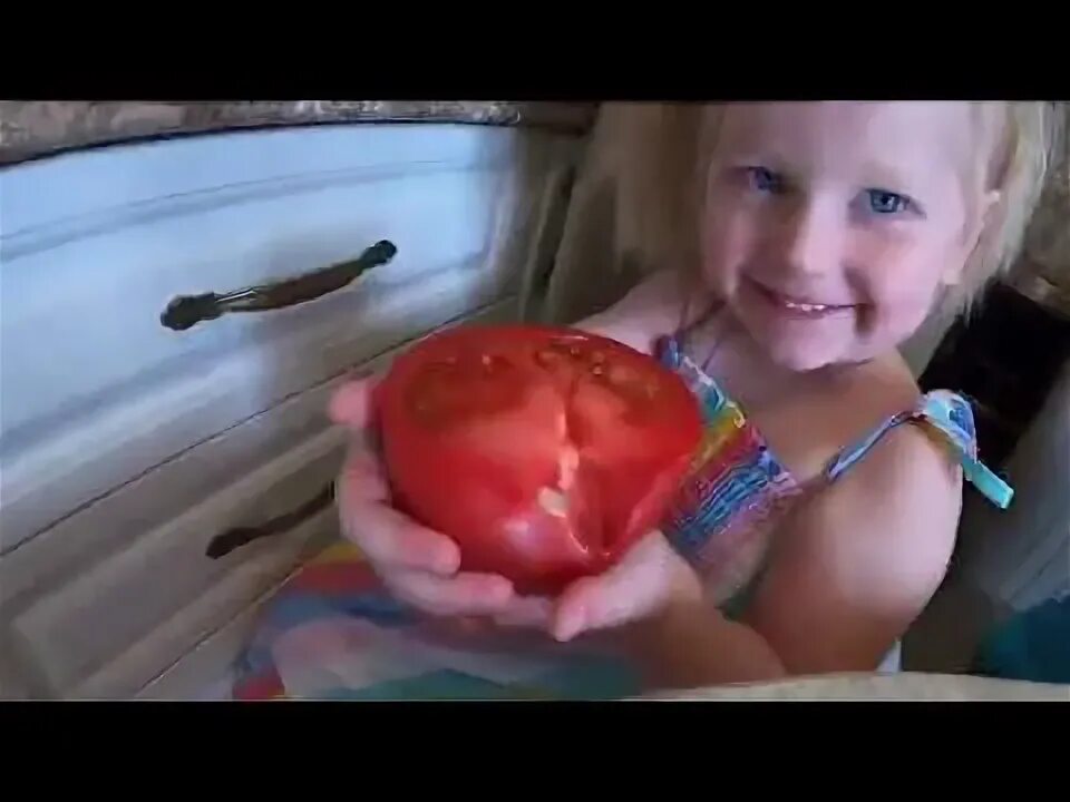 Мистер макс в ванне. Смешное видео катя. Мисс кэти 2017. Макс и катя в ванной. Катя клэп.