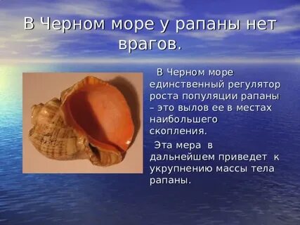В дальнейшем приводит