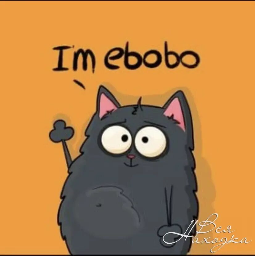 Ебобо. Ebobo котик. Ебобо Мем. Ebobo картинки.
