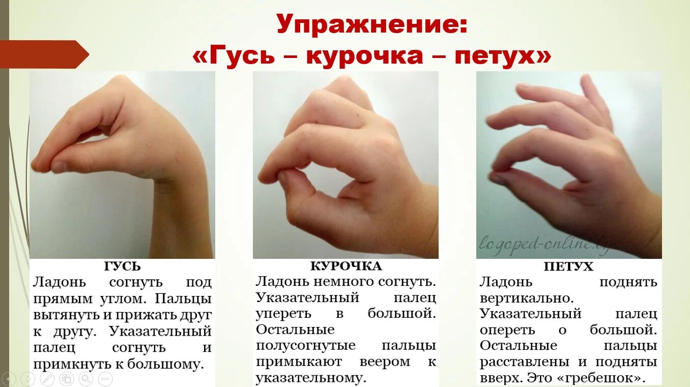 Пальчиковые кинезиологические упражнения гимнастика мозга. Кинезиологические упражнения для детей 4-5 лет. Схемы кинезиологических упражнений для дошкольников. Кинезиологические упражнения колечко. Кинезеологические упражнения для рук.