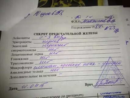 Какие анализы сдать перед урологом
