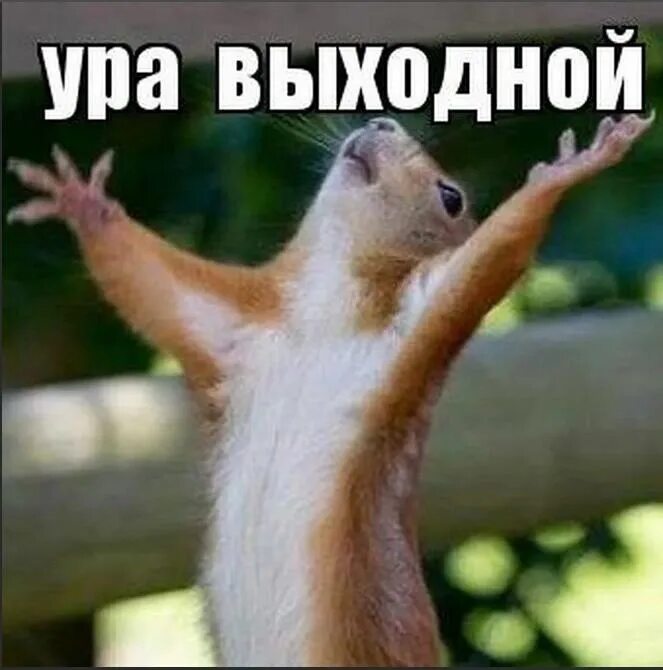 Выходной ура смешные. Ура выходные. урааа выходные. ура. свершилось.