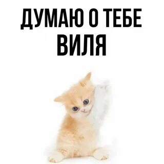 Имя виль