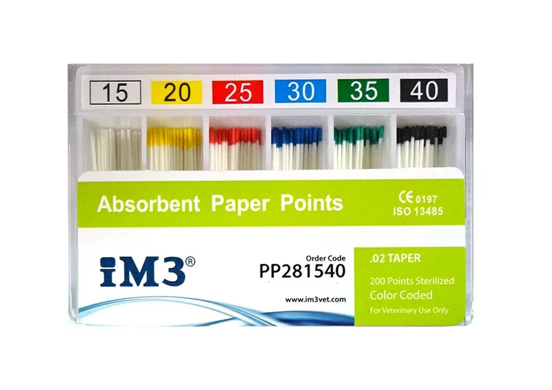 Paper point