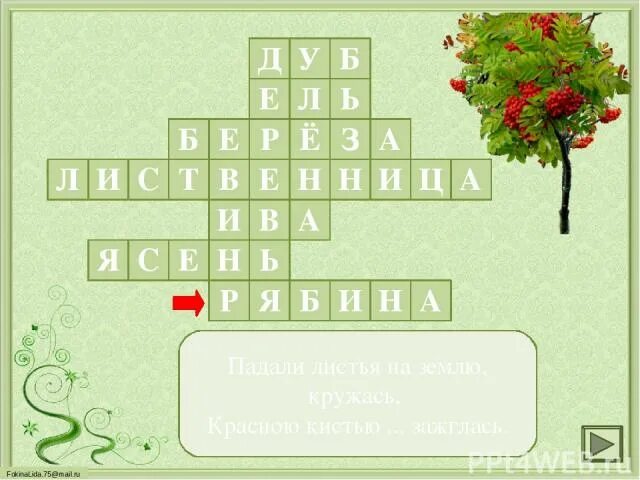 Кроссворд деревья. Кроссворд про деревья для детей. Окружающий мир деревья кроссворд. Кроссворд из дерева. Плоды чудо дерево сканворд 5