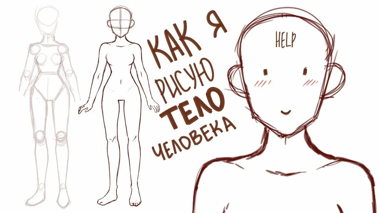 Лицо и туловище. Нарисовать тело человека. Тело человека аниме. Схема рисования аниме тела. Поэтапное рисование аниме тела.