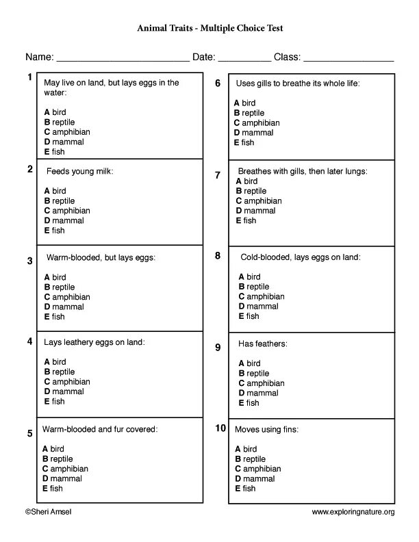 Use of english multiple choice. Multiple choice test ответы. multiple choice test. multiple choice questions in rubric.