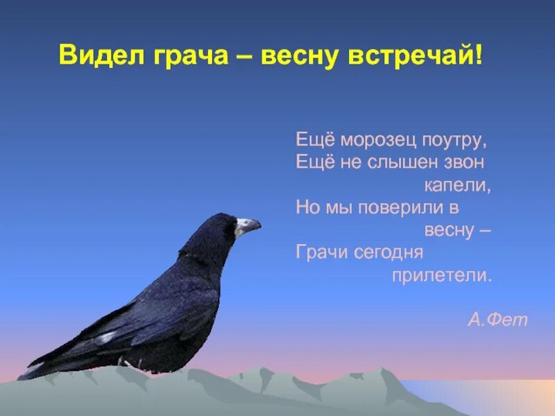 Прочитай слова грачи. Увидел Грача весну встречай. Пословицы о Грачах. Увидел Грача весну встречай пословица.