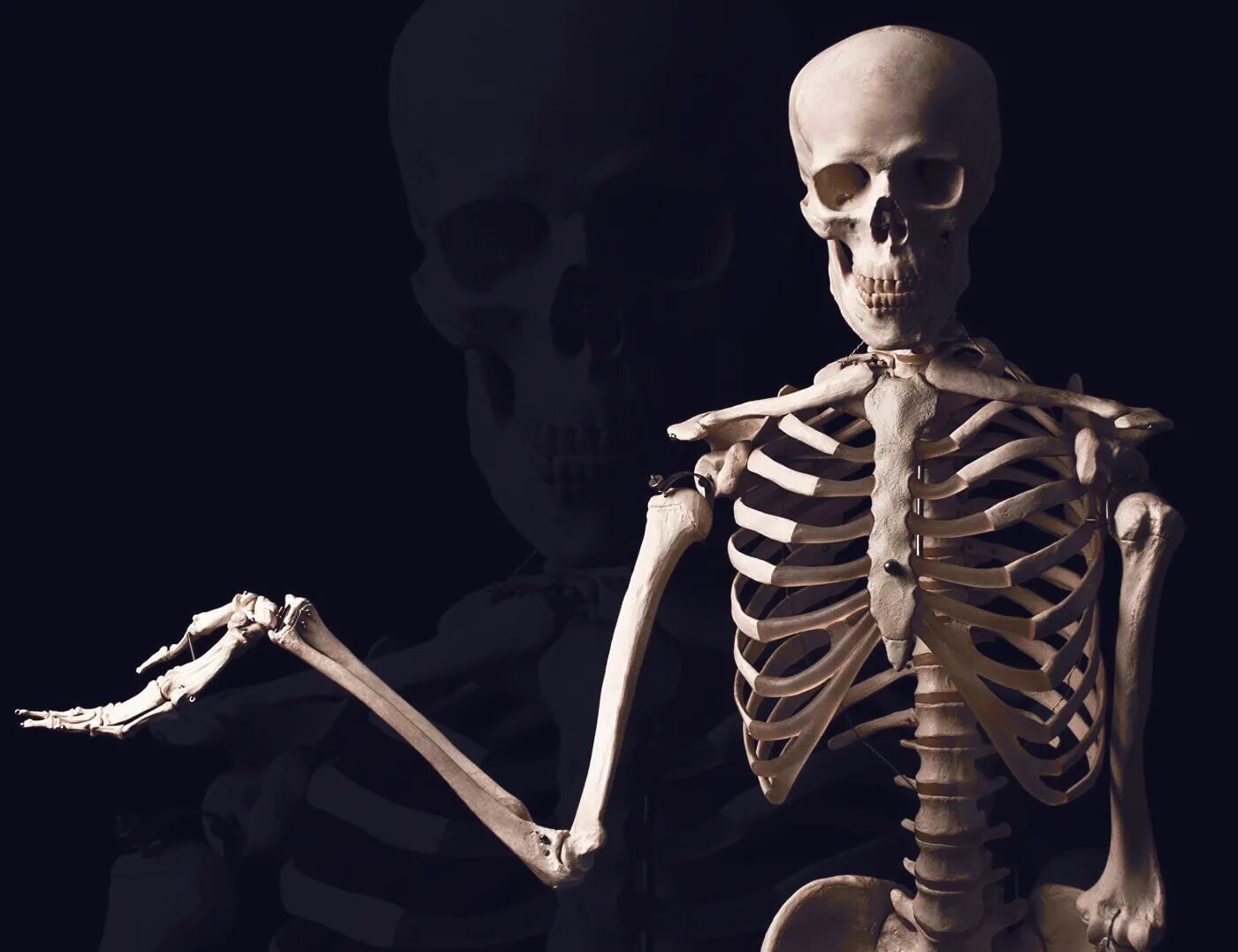 внимание скелеты. покажи скелет. скелет машет рукой. внимание скелеты. рентген скелета ребенка.