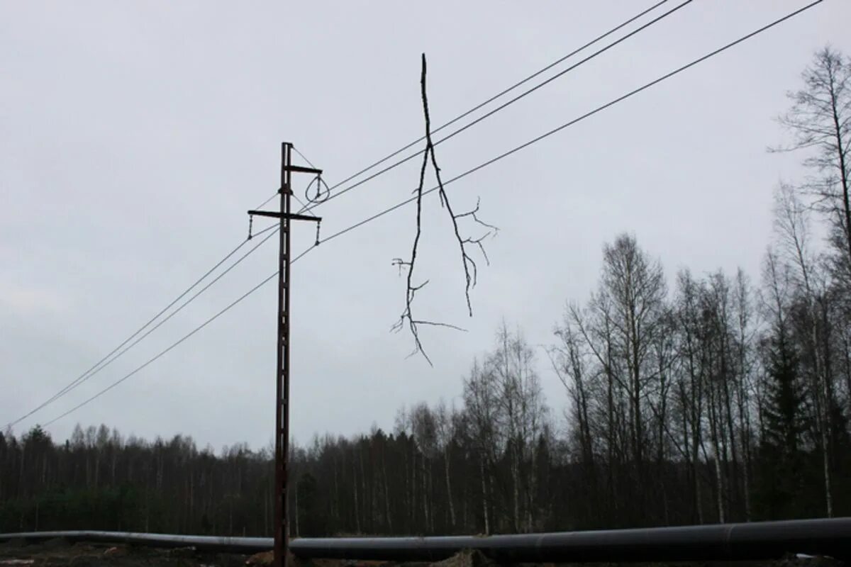 под проводами. 4-20 кв. оборванный провод. двухцепная вл-110-10кв. ветка на проводах вл 10 кв.