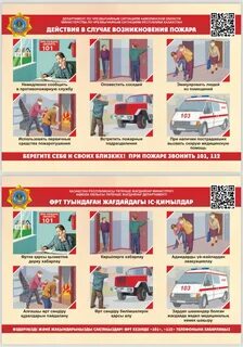 Оның кискасын жақсы сапада сипалады