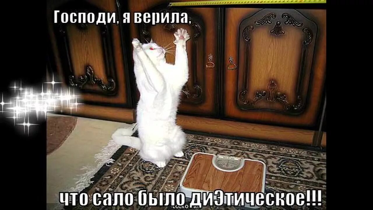 Мем кот раб. Хатико ждет. Мем но я же. Мем про лену. Ща подожди лайк поставлю.