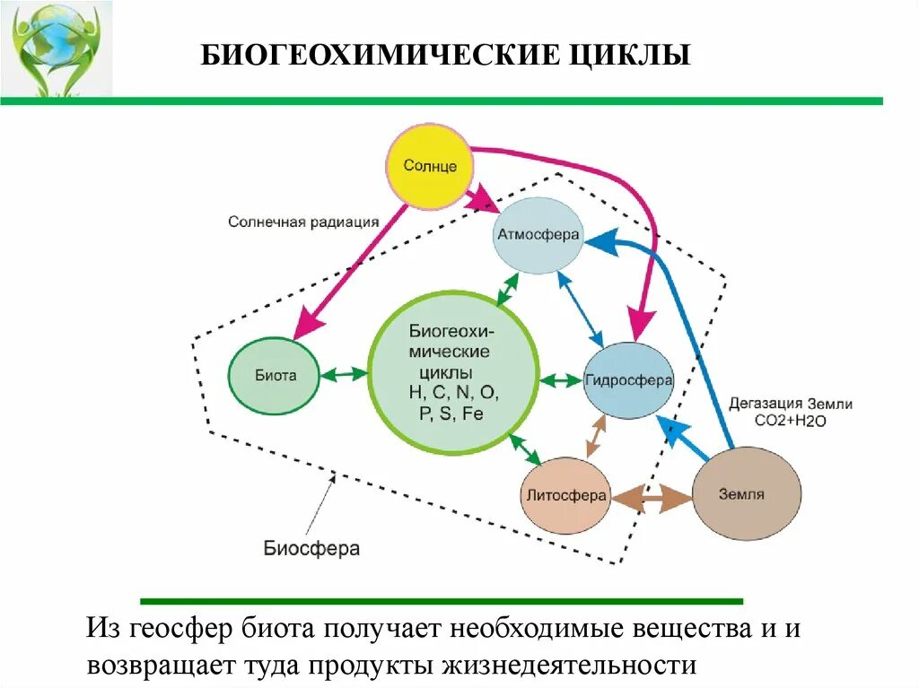 Динамика изменений в биосфере. Биогеохимический цикл. Основные биогеохимические циклы. Биогеохимические циклы элементов. Глобальные геохимические циклы.