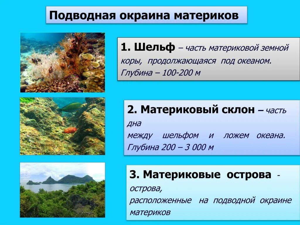 Что такое шельф 6 класс. Шельф материковый склон ложе океана. матерпиковыйф искалон. рельеф дна мирового океана 6 класс география. материковый склон.