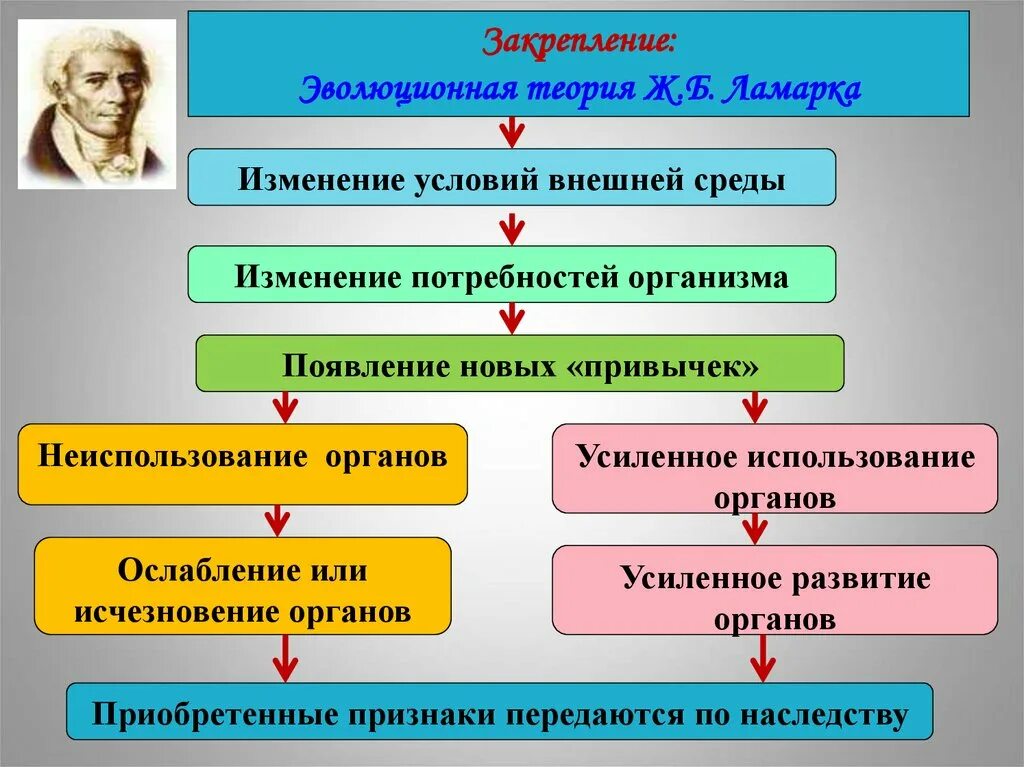 Почему теория ламарка о развитии организмов. Ламаркизм эволюционная теория. Основные теории эволюции Ламарка. Эволюционная теория Ламарка. Основные положения эволюционной теории Ламарка.