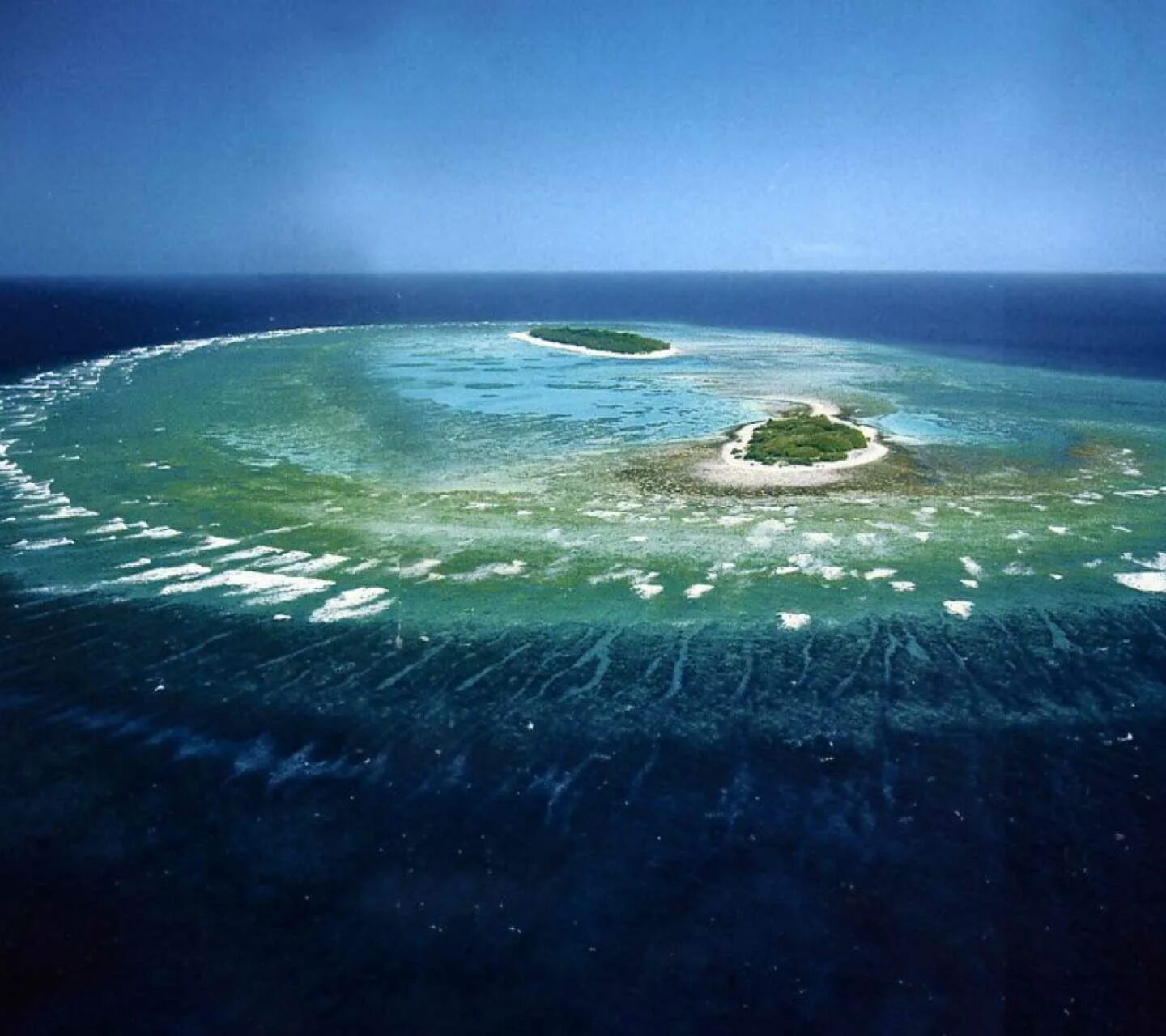 Сами больше море в мире. Большой Барьерный риф Австралия. Острова большого барьерного рифа. Большой Барьерный риф ЮНЕСКО. Коралловый остров леди Масгрэйв Австралия.
