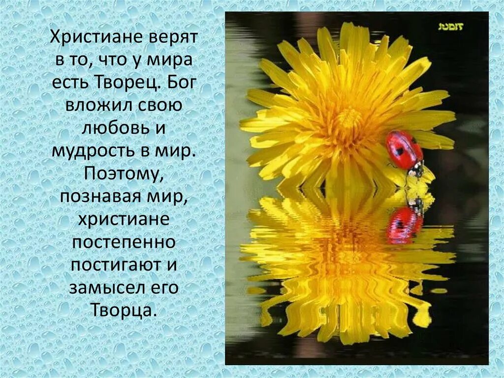 Презентация отношение христианина к природе. Отношение христианина к природе. Презентация на тему Христианское отношение к природе. Презентация ОРКСЭ отношение христианина к природе.