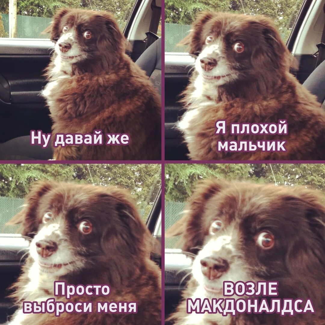 Хороший мальчик и плохой мальчик. Девочки любят плохих мальчиков. Ситуация ты вроде мальчик не плохой. Хороший мальчик и плохой мальчик. Ситуация ты вроде мальчик не плохой.