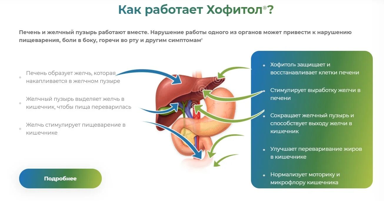 Таблетки застой желчного пузыря