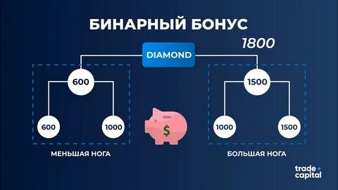 Нова маркетинг