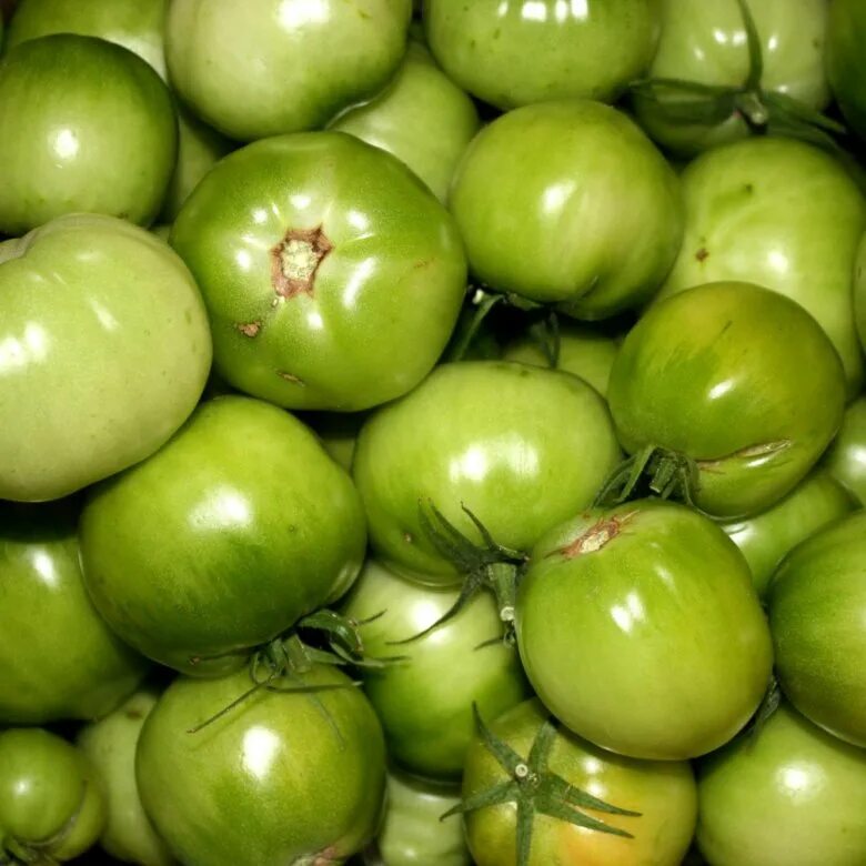 Купить зеленые томаты. Зеленые помидоры. Зеленые томаты. Томат зеленое яблоко. Помидоры бывают зелеными.