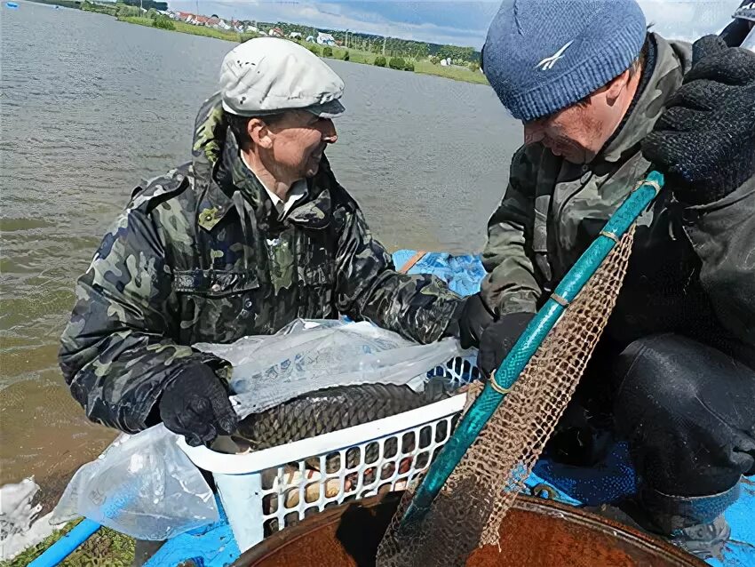 Рыбак башкортостан. Пруд Удряк Чишминский район. Река Удряк Чишминский район. Рыбалка Удряк. Рыбалка Удряк Чишминский район.