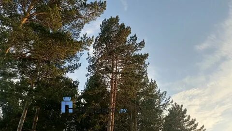 Погода в прокопьевске на 14 тырган