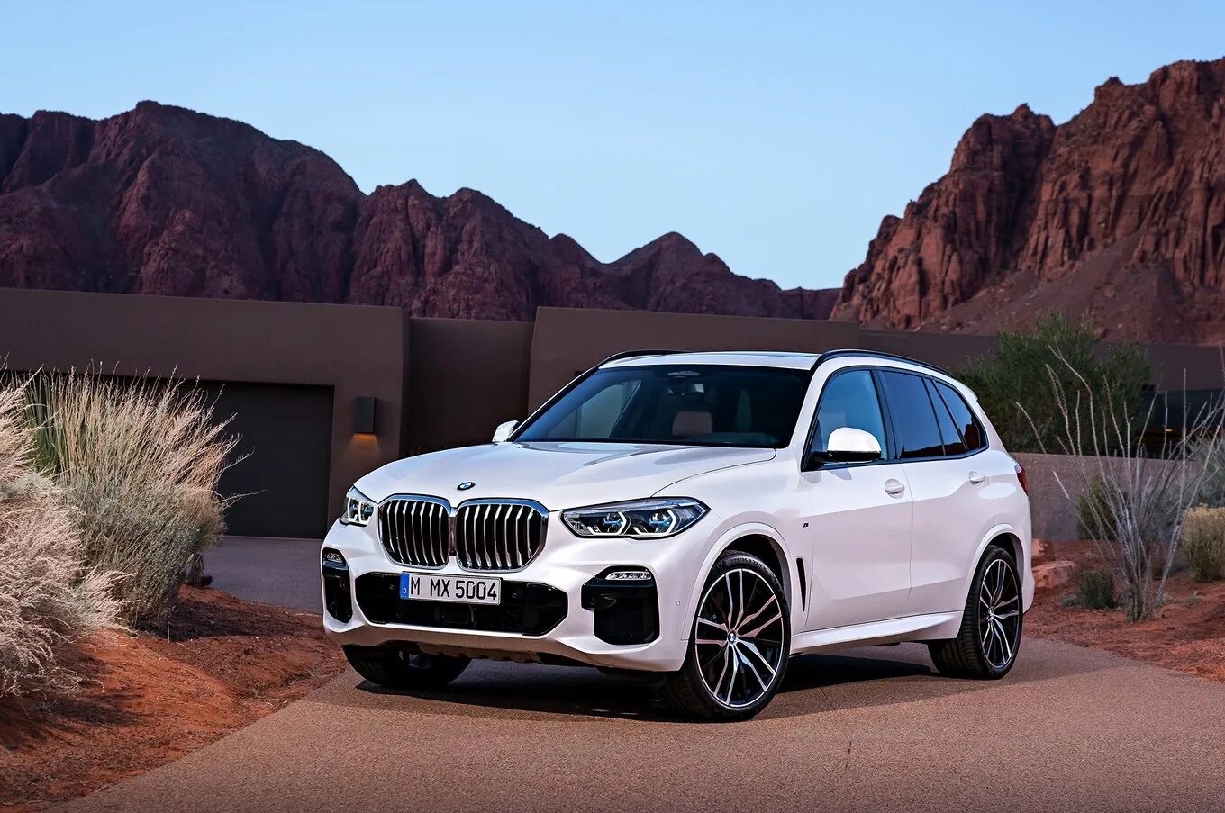 Bmw x5 g. BMW x5 g05. Новый BMW x5 g05. BMW x5m 2021. BMW x5 xdrive40d.