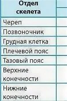 Сравнительная характеристика человека и гориллы таблица Сравнительная характеристика основных видов деятельности