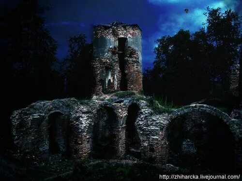 праблематыка рамана чорны замак альшанскі