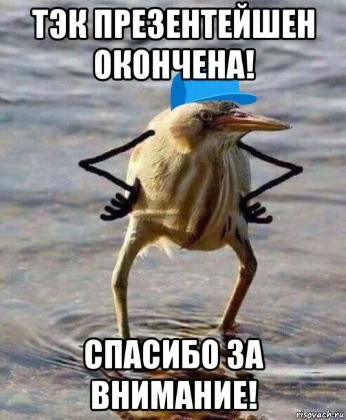 Картинка спасибо за внимание для презентации мем Steam Community :: Guide :: Как настроить Viewmodel и стать левшой в CS 2 Гайд