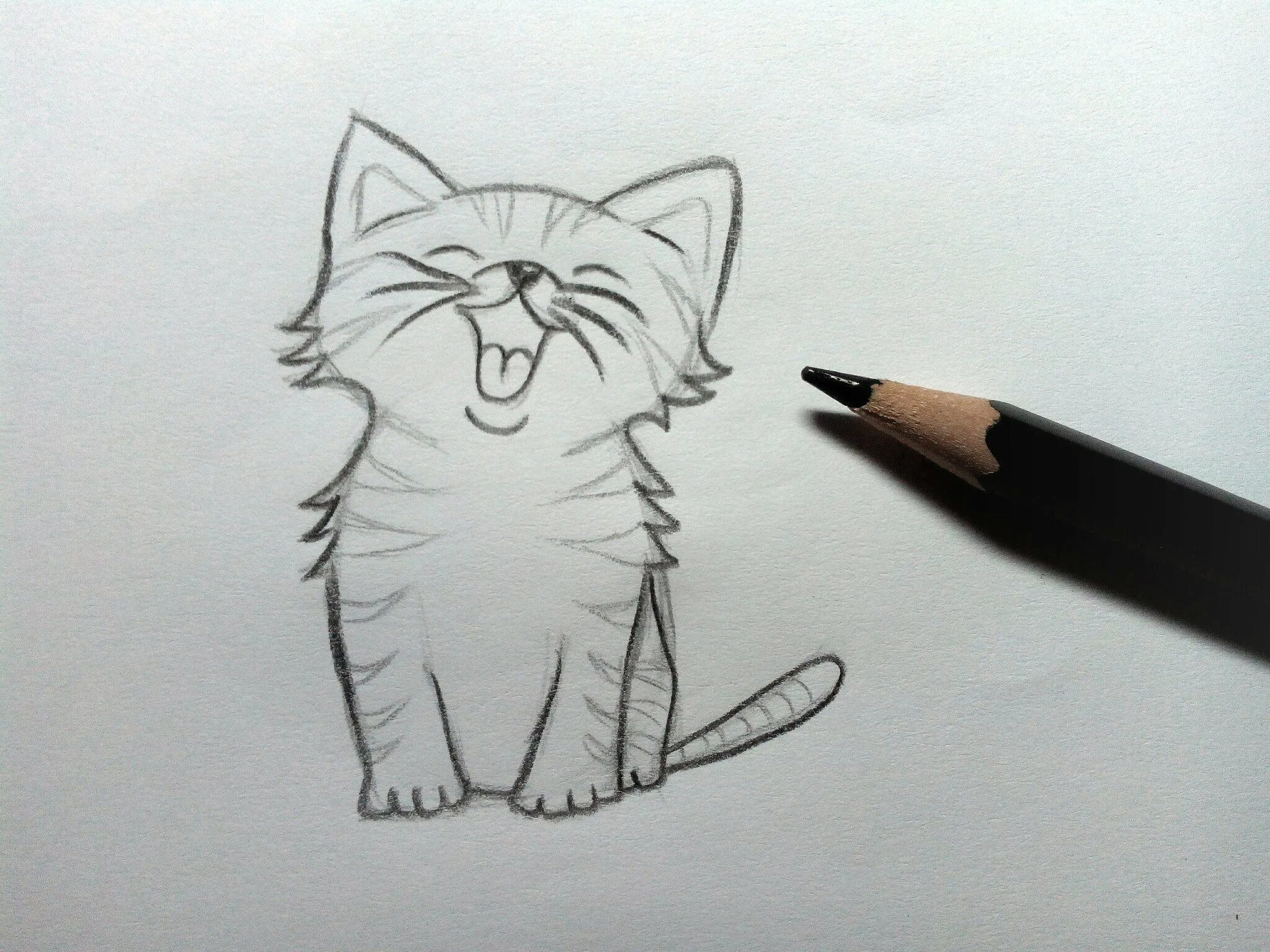 Котики которые можно срисовывать