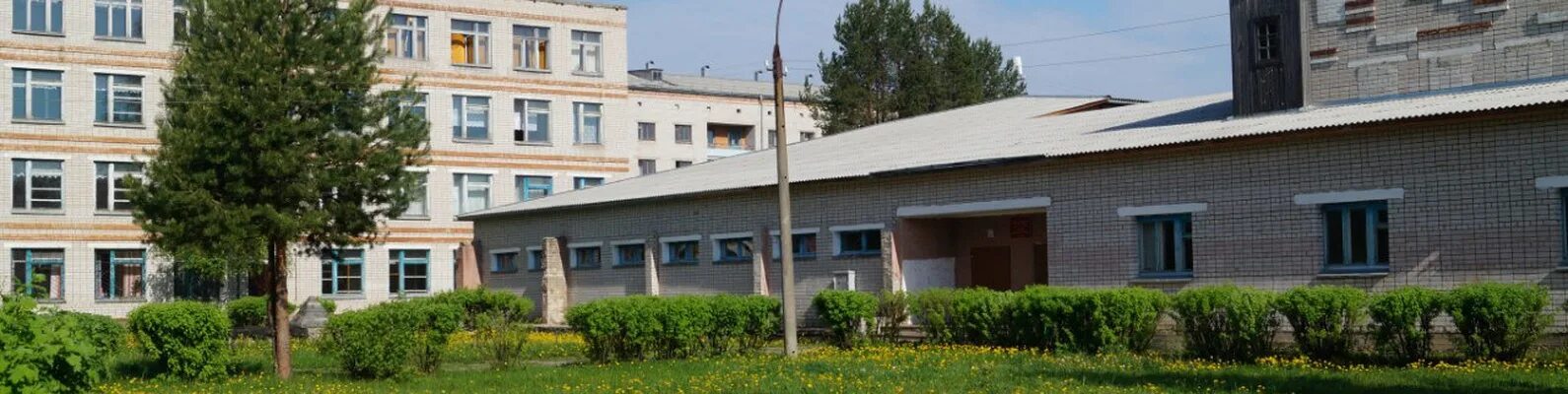 Папт пильна