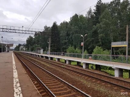 Электрички зеленый бор детская